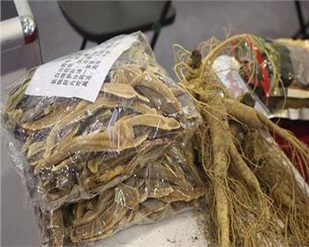 關(guān)于四川藥材烘干機(jī)這些要點(diǎn)，你真的知道嗎