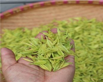 四川果蔬烘干機的好處有哪些呢？