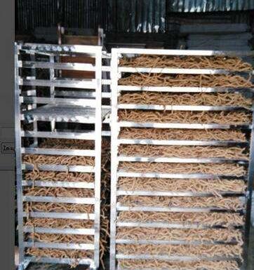 四川中藥材烘干機